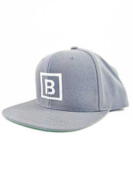 Bombing Science Snapback (Squared) - Silver